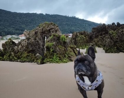 Casa rural petfriendly Cantabria