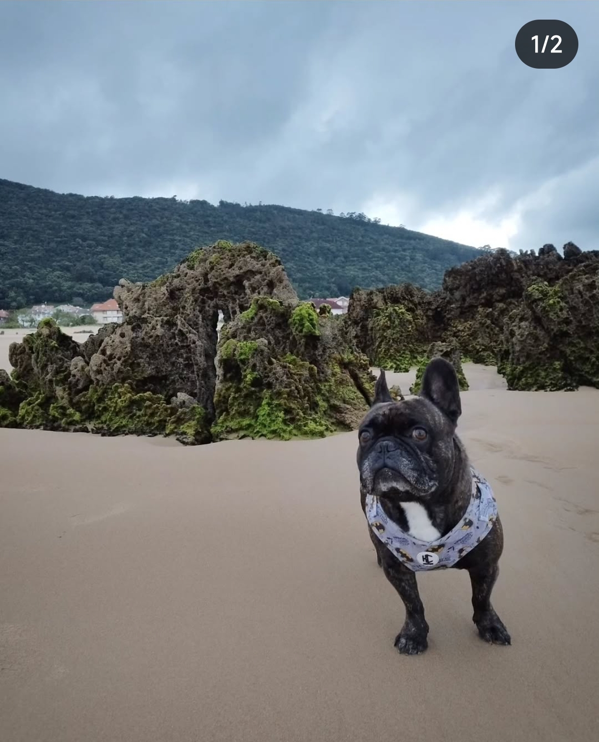 Casa rural petfriendly Cantabria