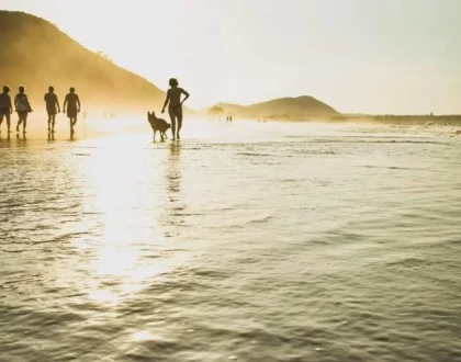 Hotel petfriendly cantabria