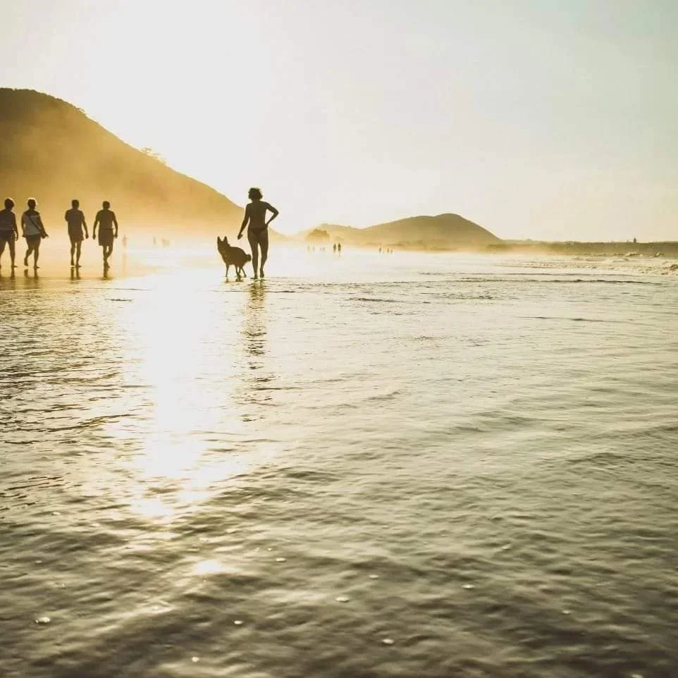 Hotel petfriendly cantabria