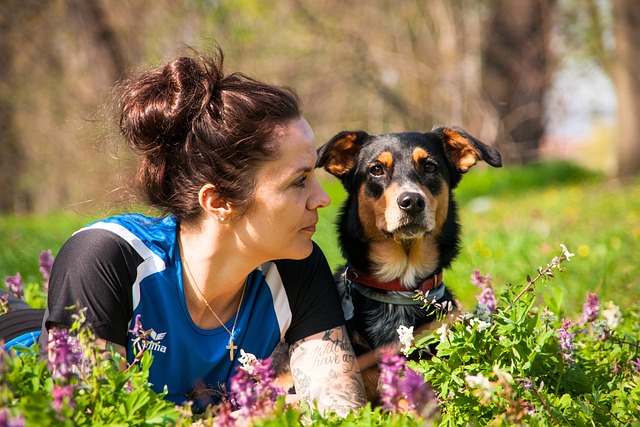 Educacion y responsabilidad petfriendly