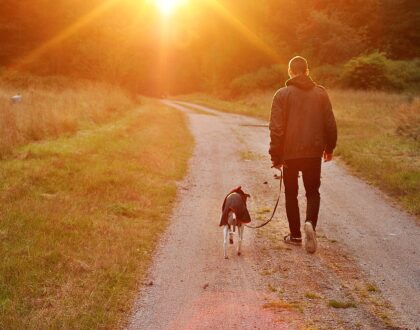 Turismo petfriendly inclusivo